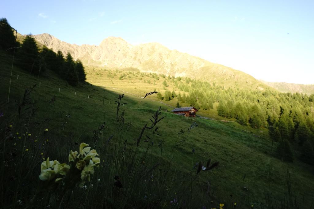 Unterhabererhof Apartment Santa Maddalena in Casies Exterior photo