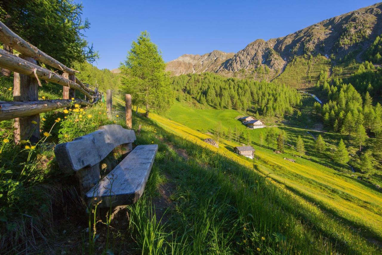 Unterhabererhof Apartment Santa Maddalena in Casies Exterior photo